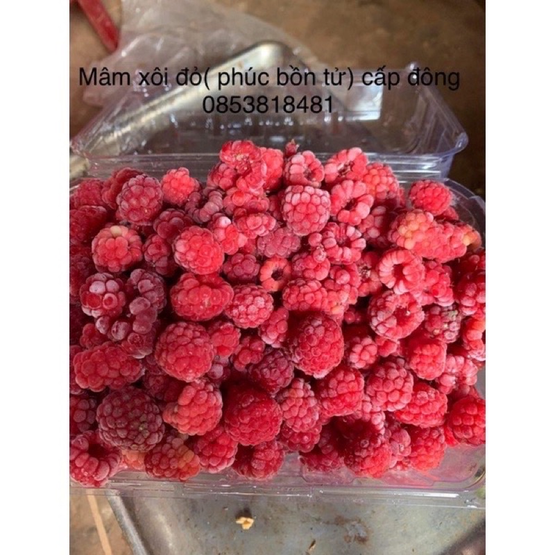 Phúc Bồ tử ( Mâm Xôi đỏ) Cấp Đông Song Anh 500gr