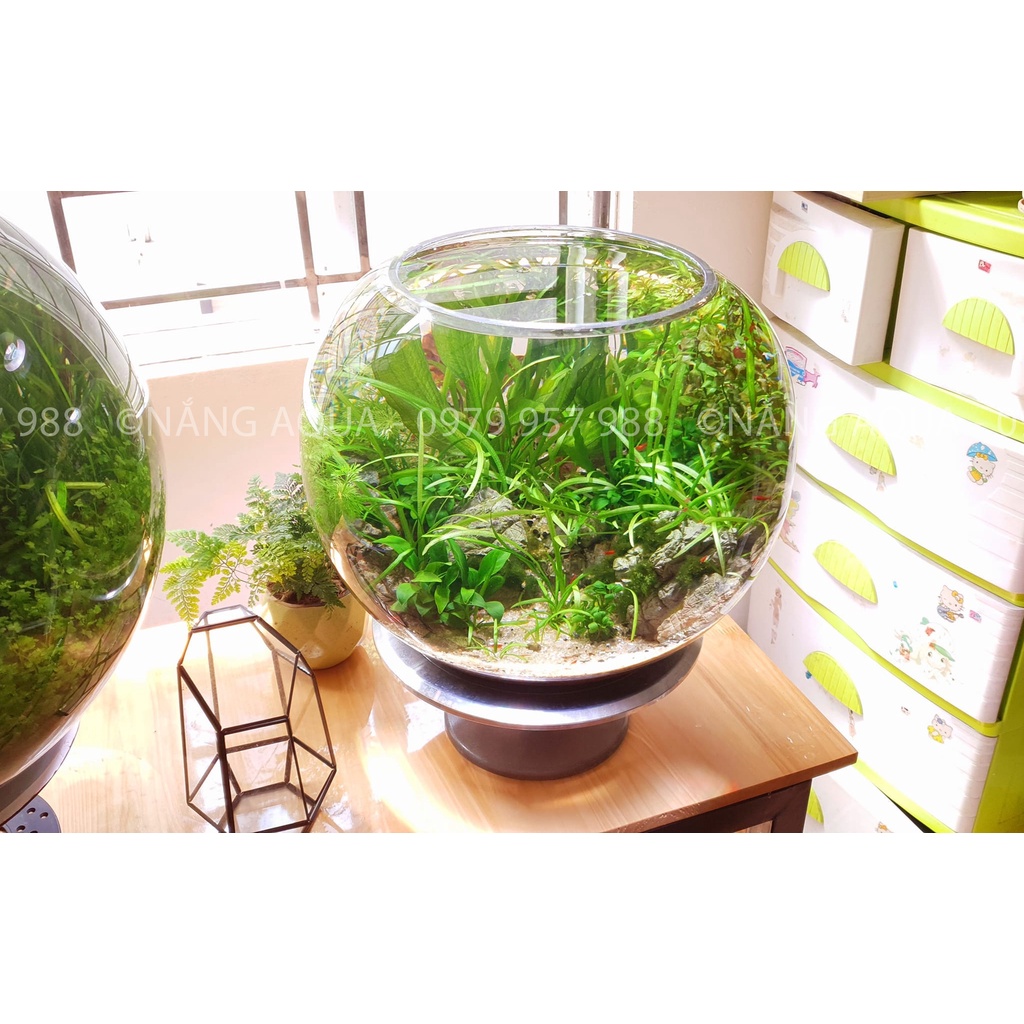 Bể kính tròn siêu to 32 x 42cm_Nhập khẩu