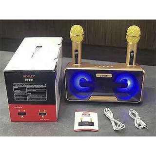 Loa karaoke Bluetooth SD-301 ( 2 mic không dây, khay để điện thoại)