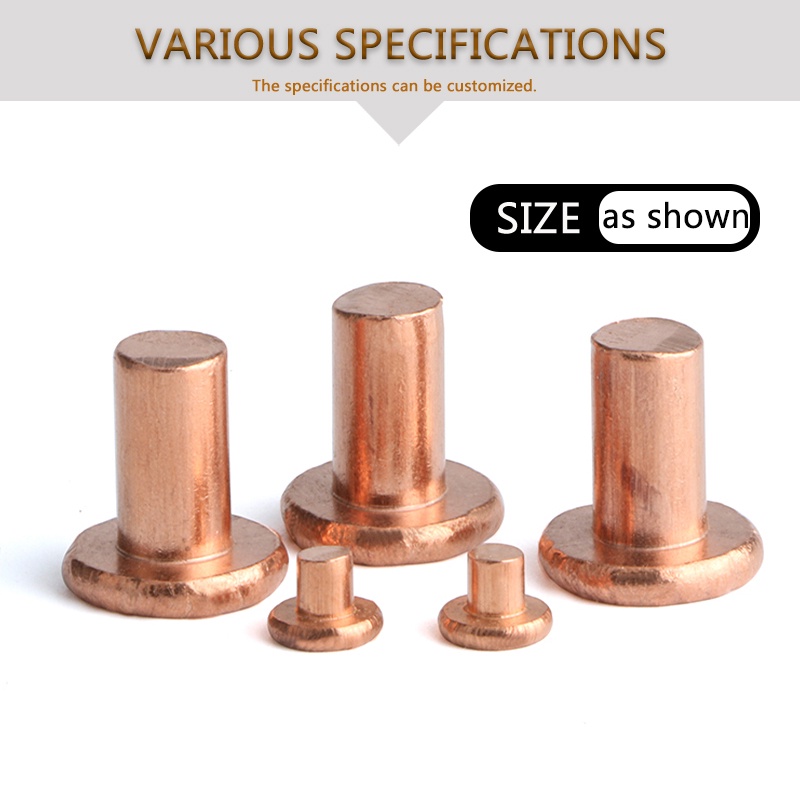 Đinh Tán Đầu Dẹt Bằng Đồng Thau m1.5 m2 m2.5 m3 Dài 3mm - 30mm Chuyên Dụng