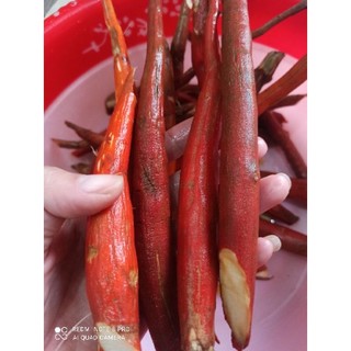 1kg sâm cau đỏ tây bắc 90k