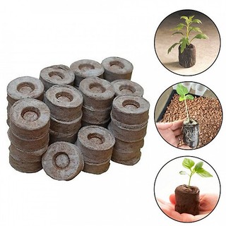 Combo 10 viên nén xơ dừa, viên nén ươm hạt giống, trồng cây thủy canh