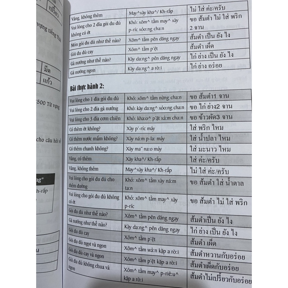 Sách - Cẩm nang hướng dẫn tự học tiếng Thái ( trình độ sơ cấp trung cấp)