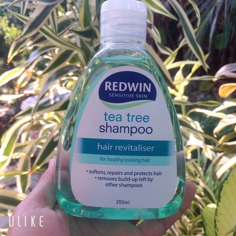 Dầu gội giảm gàu và rụng tóc Redwin Úc