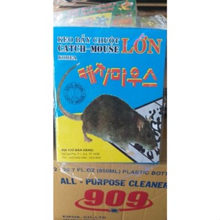 Keo bẫy chuột lớn catch mouse korea - keo dán chuột cống, chuột lang, chuột nhà kho