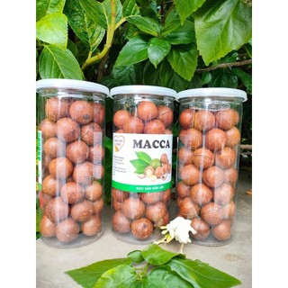 Hạt macca sấy size đại, đặc sản Tây Nguyên, loại 500g