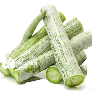 2Gram Hạt giống khổ qua tây ( Khổ qua tây trắng )