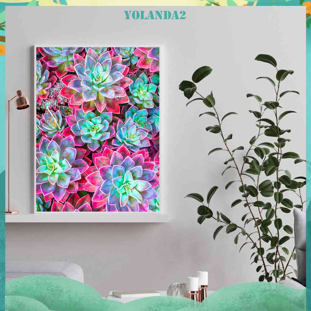 Bộ Tranh Đính Đá 5D Tự Làm Hình Chậu Cây Mọng Nước Đầy Màu Sắc