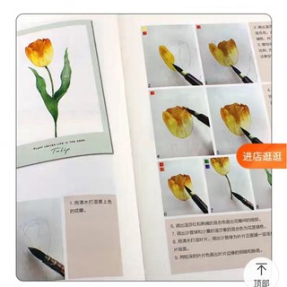Sổ vẽ phác thảo Hoa Lá Watercolor