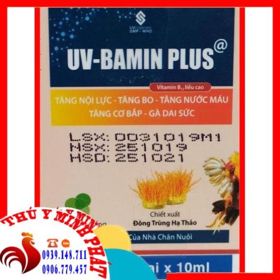 UV BAMIN PLUS CHAI 10ML