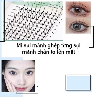 Mi sợi chỉ mảnh