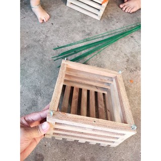 Combo 5 Chậu gỗ trồng lan hình vuông size 20cm