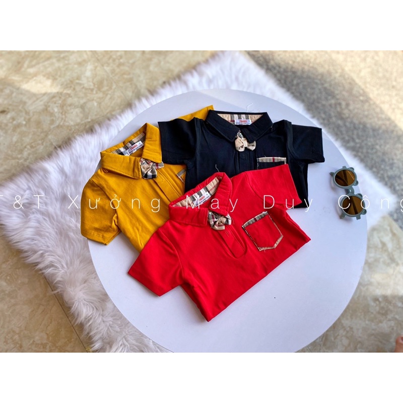 Áo thun cho trẻ em 8-18kg , mẫu Polo cổ đức cho bé trai