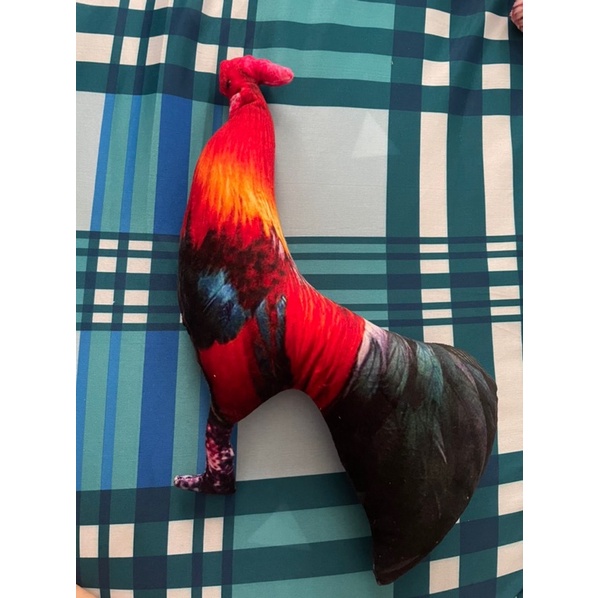 Gà bông tập lực cho gà đá