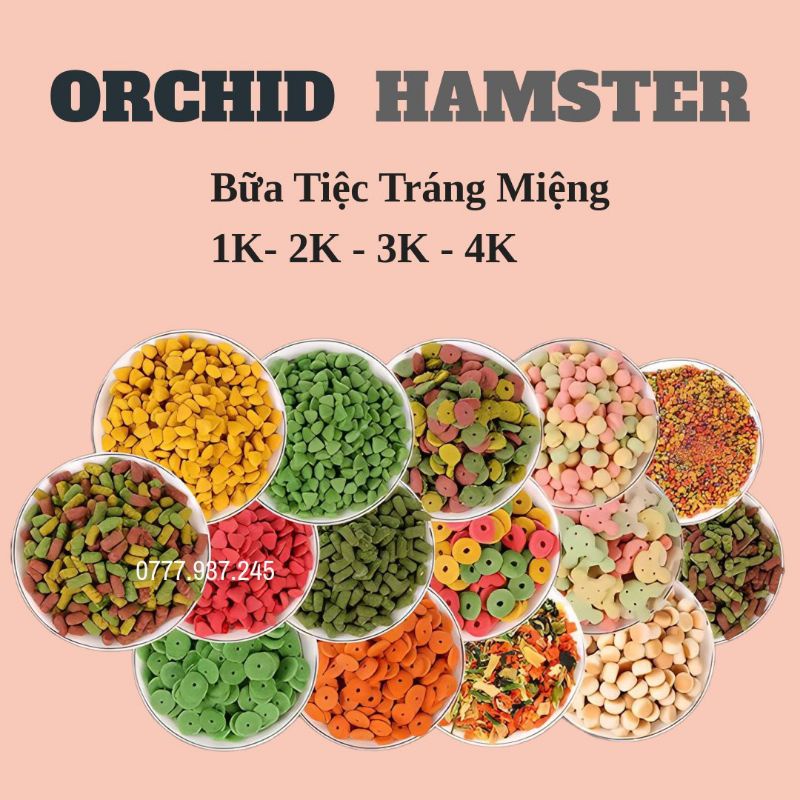 Dinh Dưỡng Ăn Dặm Dành Cho Hamster