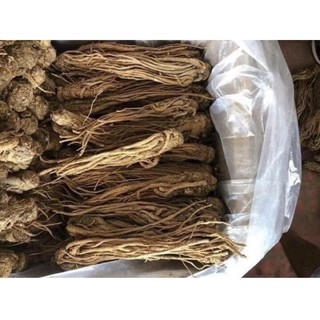 100Gr Sâm đương quy khô