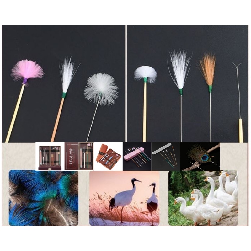 Dụng Cụ Lấy Ráy Tai, Bộ Lấy Ráy Tai 5 - 20 Món Tích Hợp Đèn Soi Chuyên Nghiệp Dùng Cho Cả Gia Đình