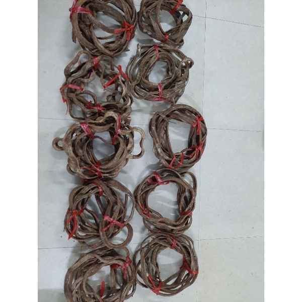 Dây rừng trang trí hay còn gọi là dây leo (1 cuộn dài 5m)