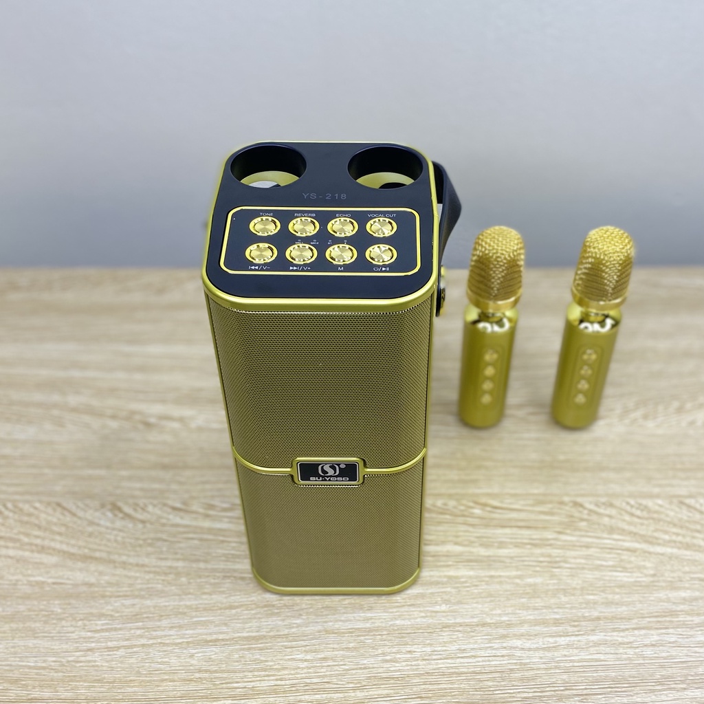 Loa Karaoke Bluetooth YS-218 kèm 2 micro không dây