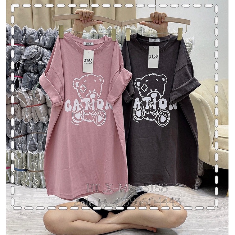 Áo phông gấu GATION DA6