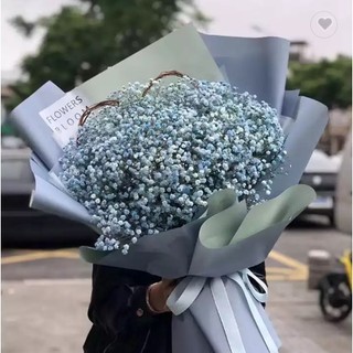 Giấy gói hoa trơn 2 mặt 2 màu
