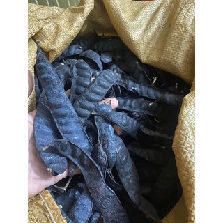 Combo 1 kg quả bồ kết sạch ( bồ kết ta) thơm lừng mẩy