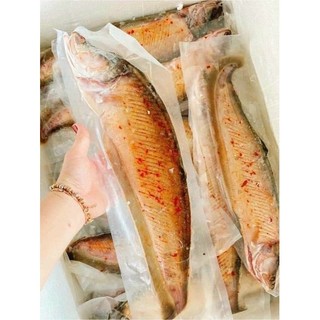 (HCM - CHỈ GIAO HỎA TỐC) Cá thác lác rút xương 1 con
