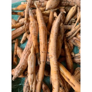 1kg Tài Lệch rừng Ba Chẽ Quảng Ninh bồi bổ cơ thể