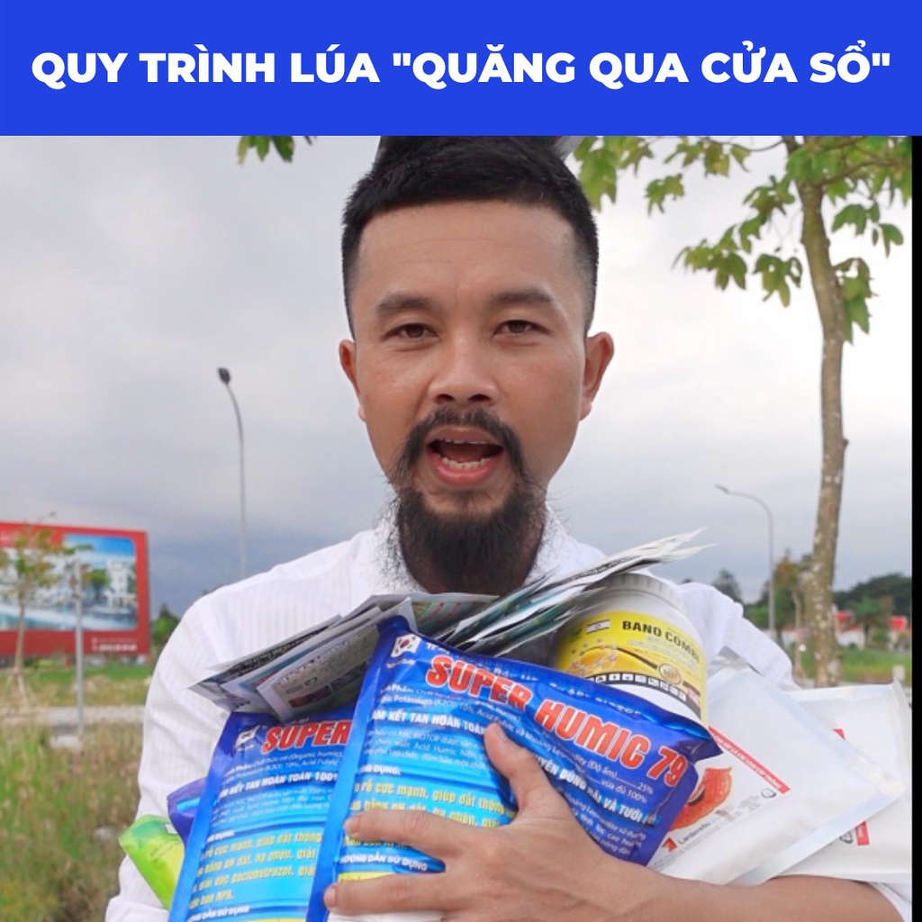 Quy trình Lúa quăng qua cửa sổ-Hạn Chế Phân Bón- BVTV- Hạn Chế Đổ Ngã Số 1 Điền Râu