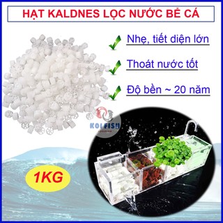 Hạt lọc Kaldnes 1kg dùng nuôi vi sinh cho lọc nước bể cá
