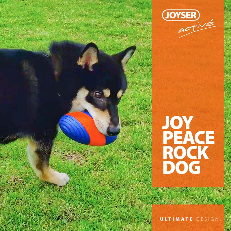 HamshMoc Bóng Cao Su Đồ Chơi Phát Ra Tiếng Kêu Tương Tác Huấn Luyện Thú Cưng