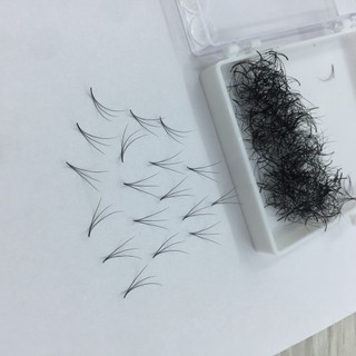 Mi fan 3d - dày 0.10 - cong c-cc-d - hộp 500 fan - dụng cụ nối mi - thien ngoc mi
