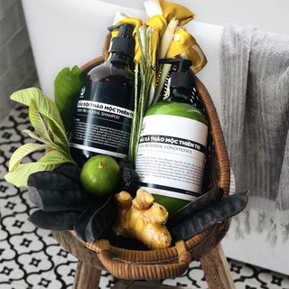 Cặp dầu gội + dầu xả thảo mộc thiên tri