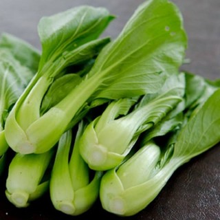 (Sale 1k) 300 Hạt giống cải thìa