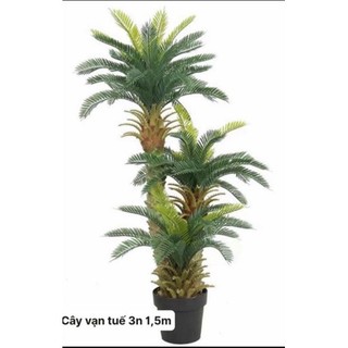 Cây giả- Cây vạn tuế 3nhánh - cao 1,25 met- trang trí nhà cửa, nội thất sang trọng