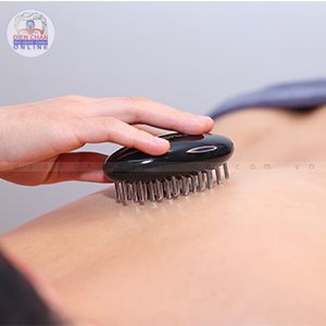 Con bọ Diện Chẩn Bùi Quốc Châu