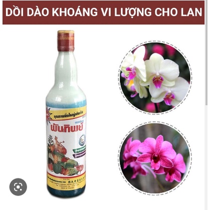 Phân sữa Thái -  đẹp hoa - xach tay từ Thai. -Mai Huy