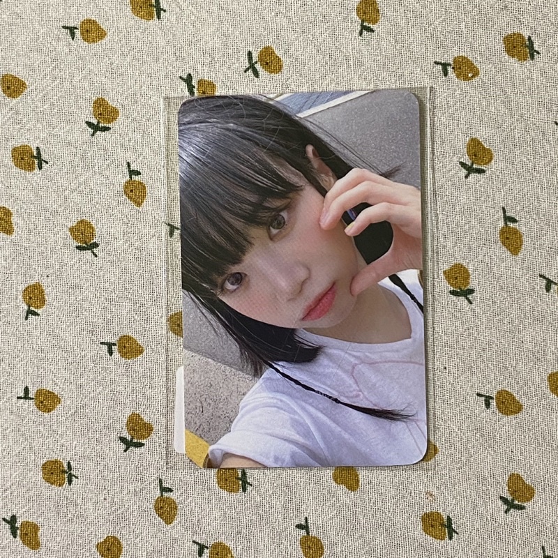 CARD ẢNH LE SSERAFIM YES24 official