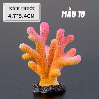 Phụ kiện trang trí bể cá mini