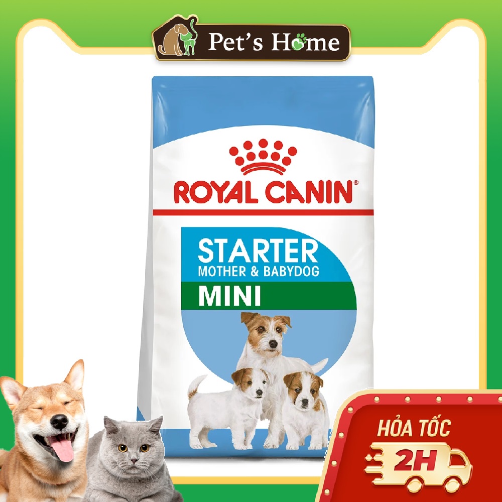 1kg Hạt Royal Canin Mini Starter Mother &amp; Baby dog cho chó mẹ và chó con tập ăn