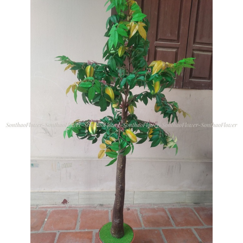 Cây giả decor cây khế giả nhiều trái cao 1m6 trang trí nhà bền đẹp (Hà Nội ship trong ngày)