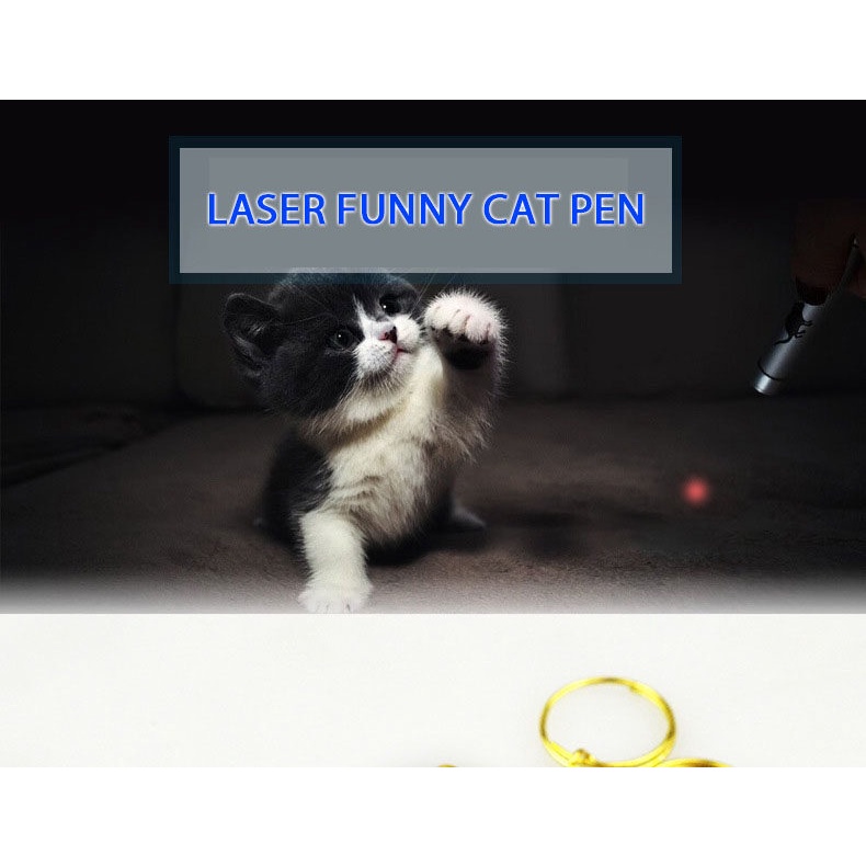 Đèn laser cho mèo-giúp mèo thư giãn LI0144