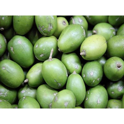 Cóc non, Cóc Thái