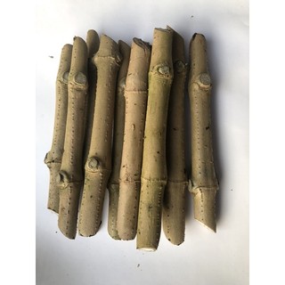 hom chè khổng lồ