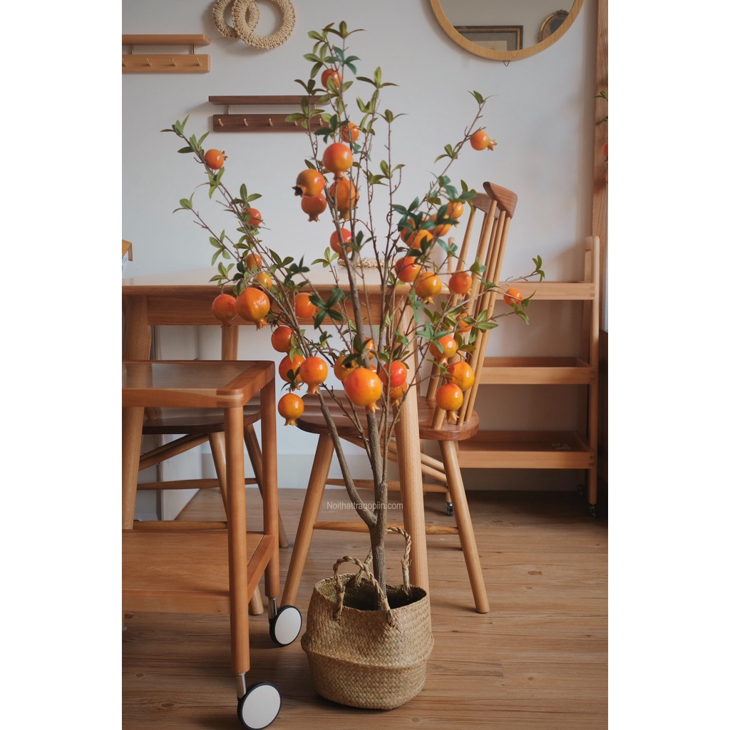 Cây lựu chậu cói