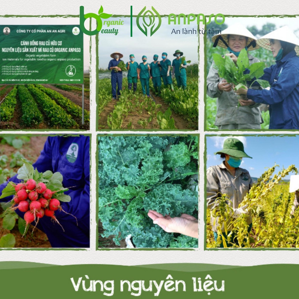 Mì Rau Củ Ăn Dặm Organic Mì Rau Củ Anpaso Bổ Sung VitaminChất XơMì ...