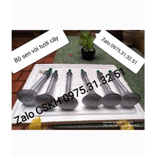Vòi sen tưới cây