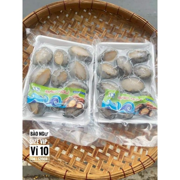 BÀO NGƯ  🦪khay 500g 10 con.