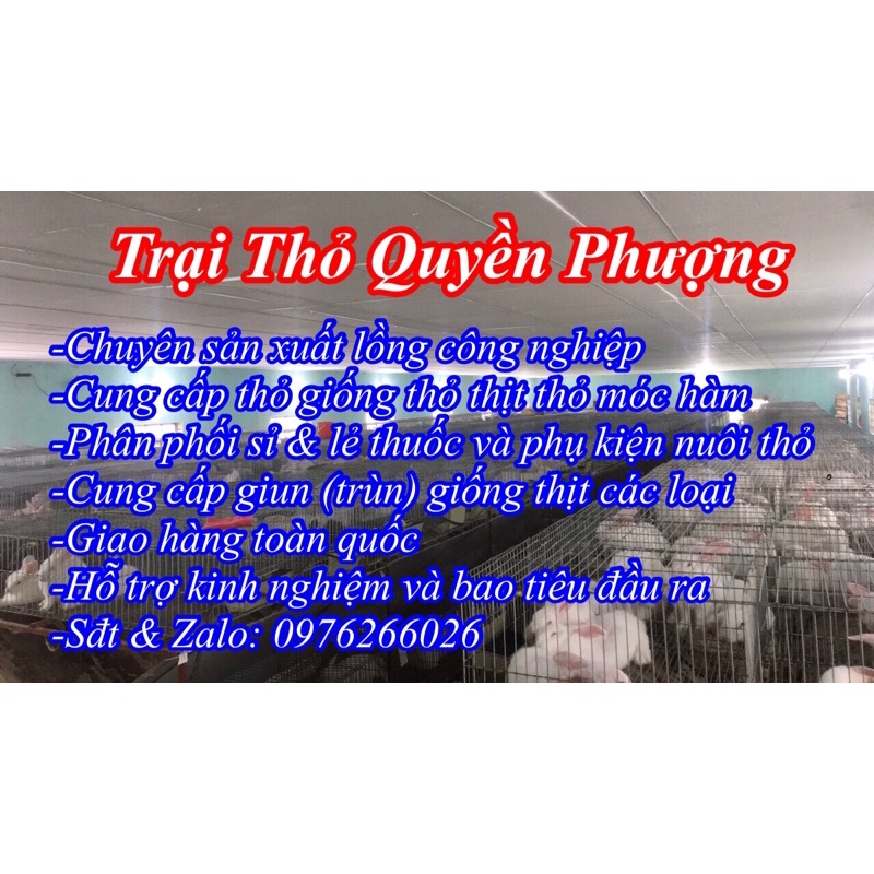 Chai 1 lit nấm uống nazol