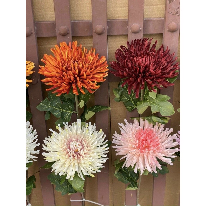 HOA GIẢ - HOA CÚC TĂM BÔNG TO 20CM